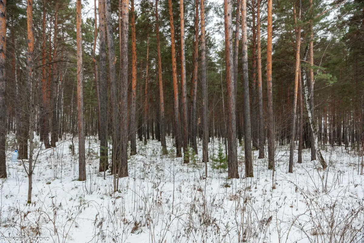 Вариант на улице Аэропорт 3