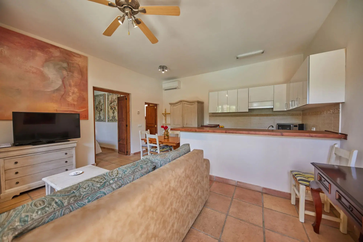 Sa Vinya des Convent Agroturismo