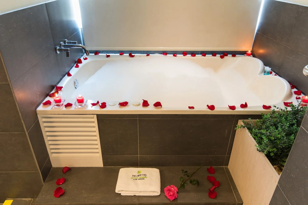 Palmetto Hotel Business San Miguel