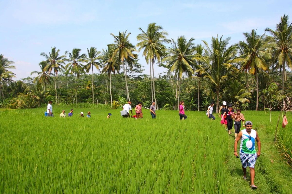 BeingSattvaa Luxury Ubud