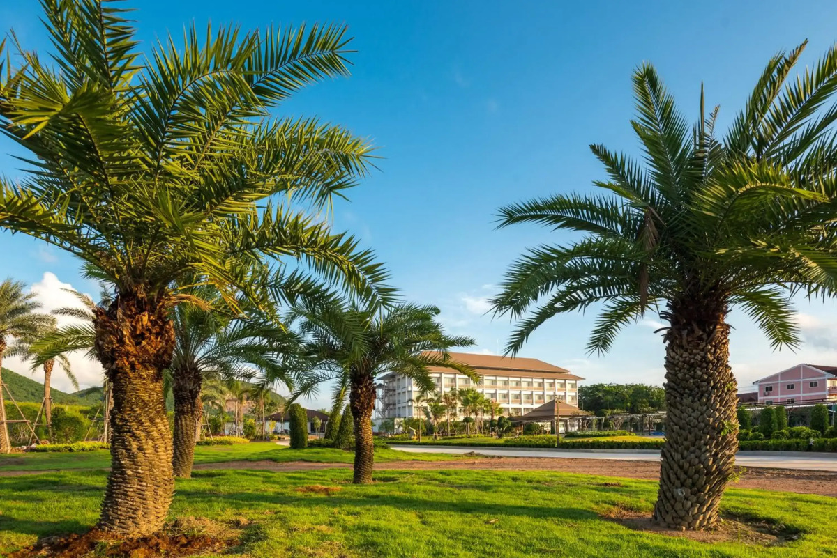 Swan Lake Hotel Sattahip