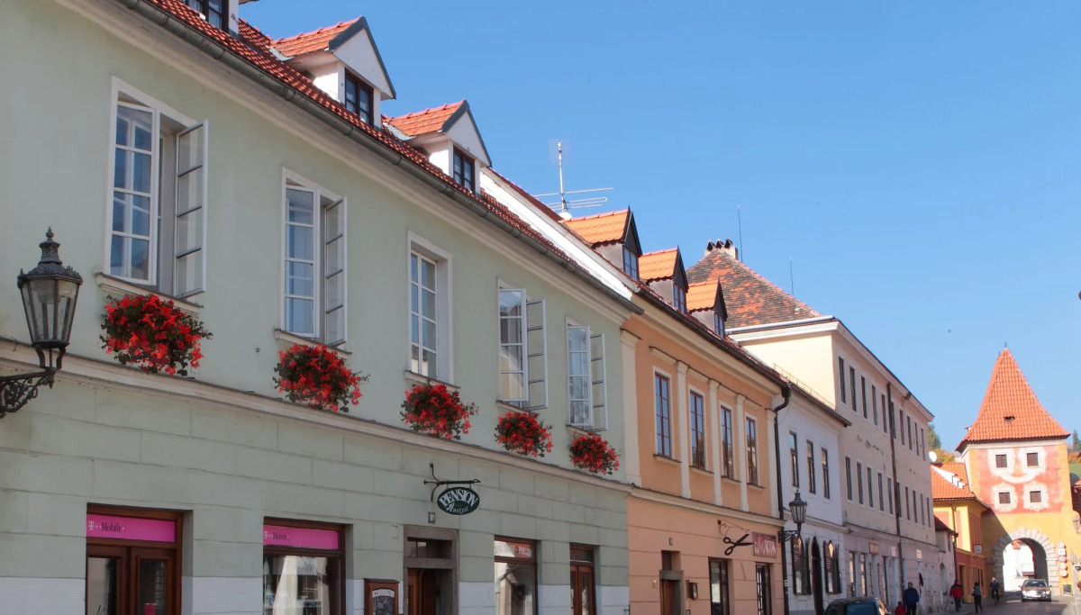 Wellness Pension Ametyst