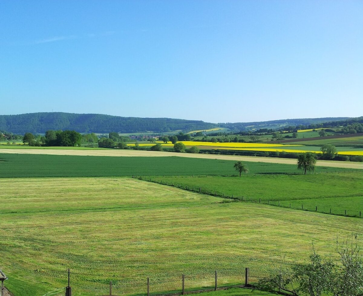 Gasthaus Zum Lindenwirt