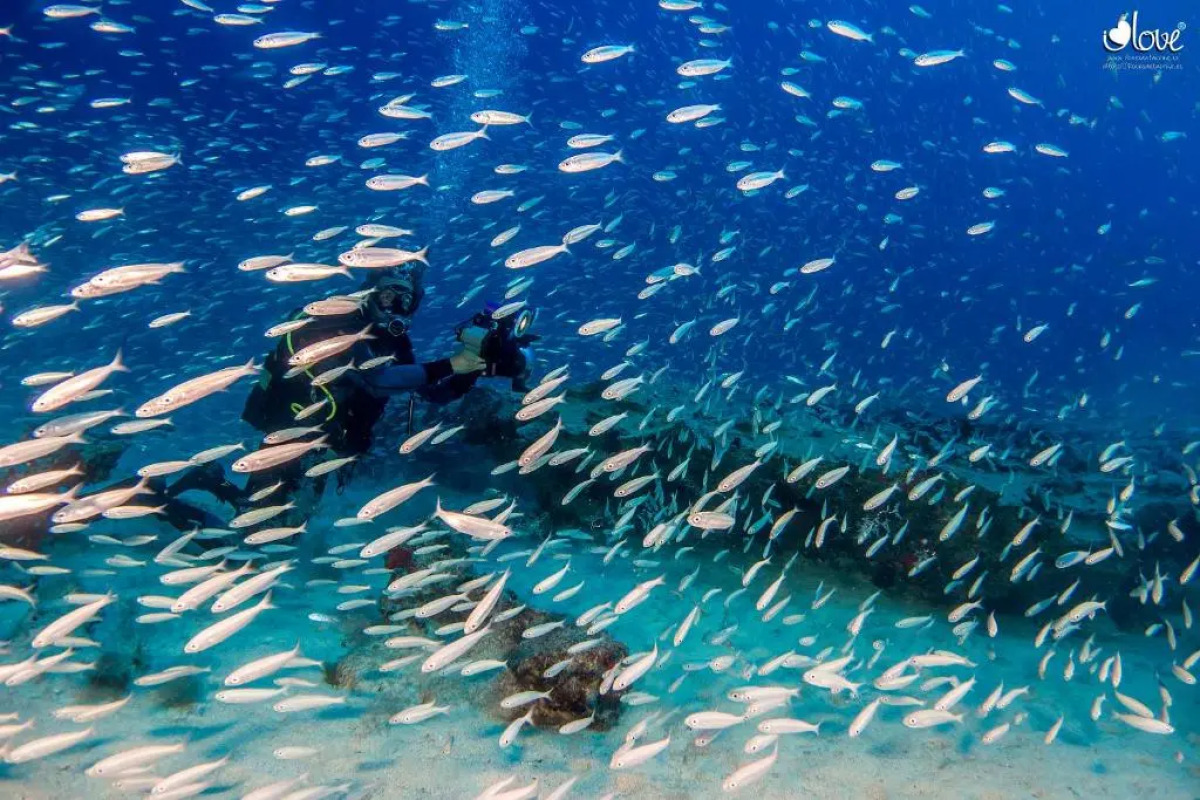 Dunas Club - Hotel & Apartamentos