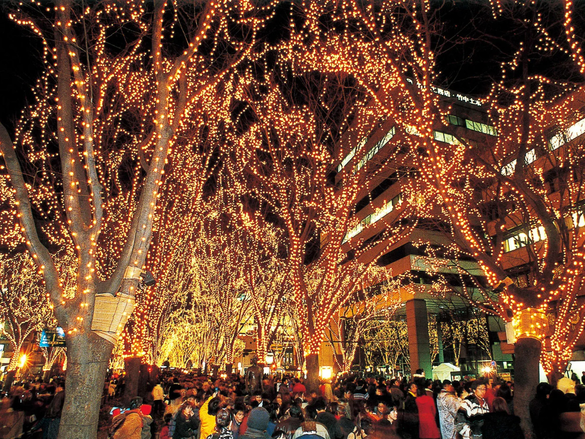 Hotel Premium Green Hills