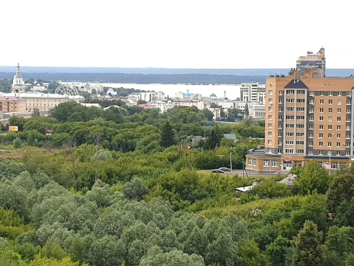 RentAp (РентАп) на улице Николая Рождественского