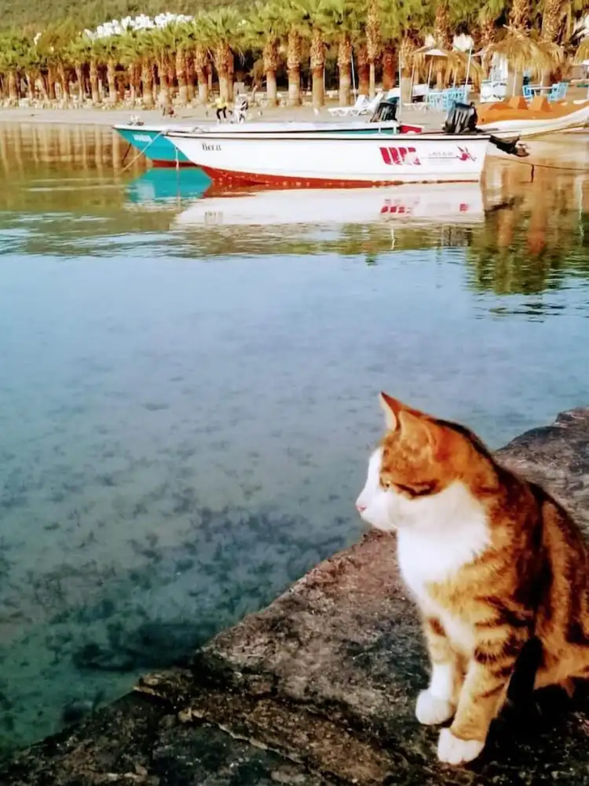 Antique İasos Butik Otel