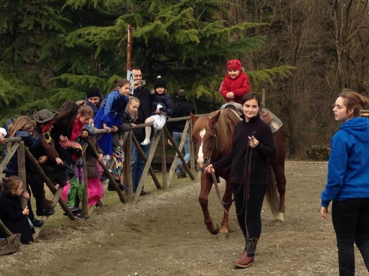 Tenuta dei Cavalieri