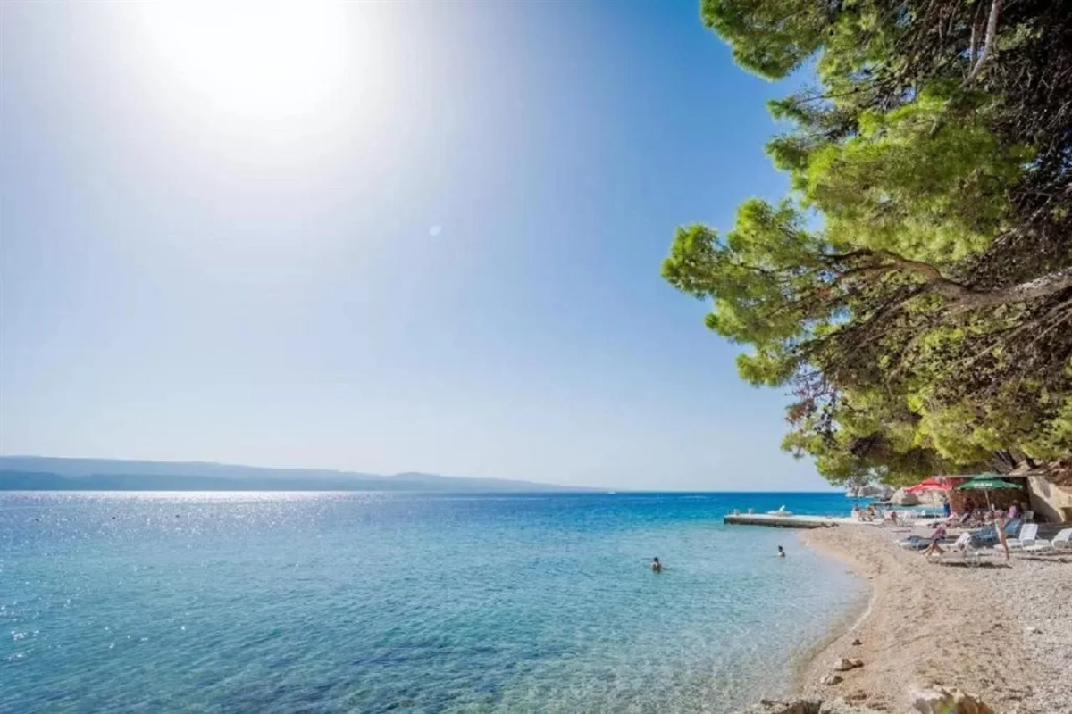 Sagitta All inclusive light