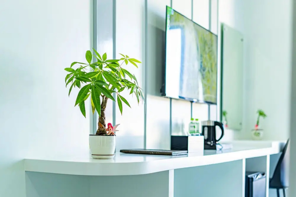 The Square Kampot Hotel