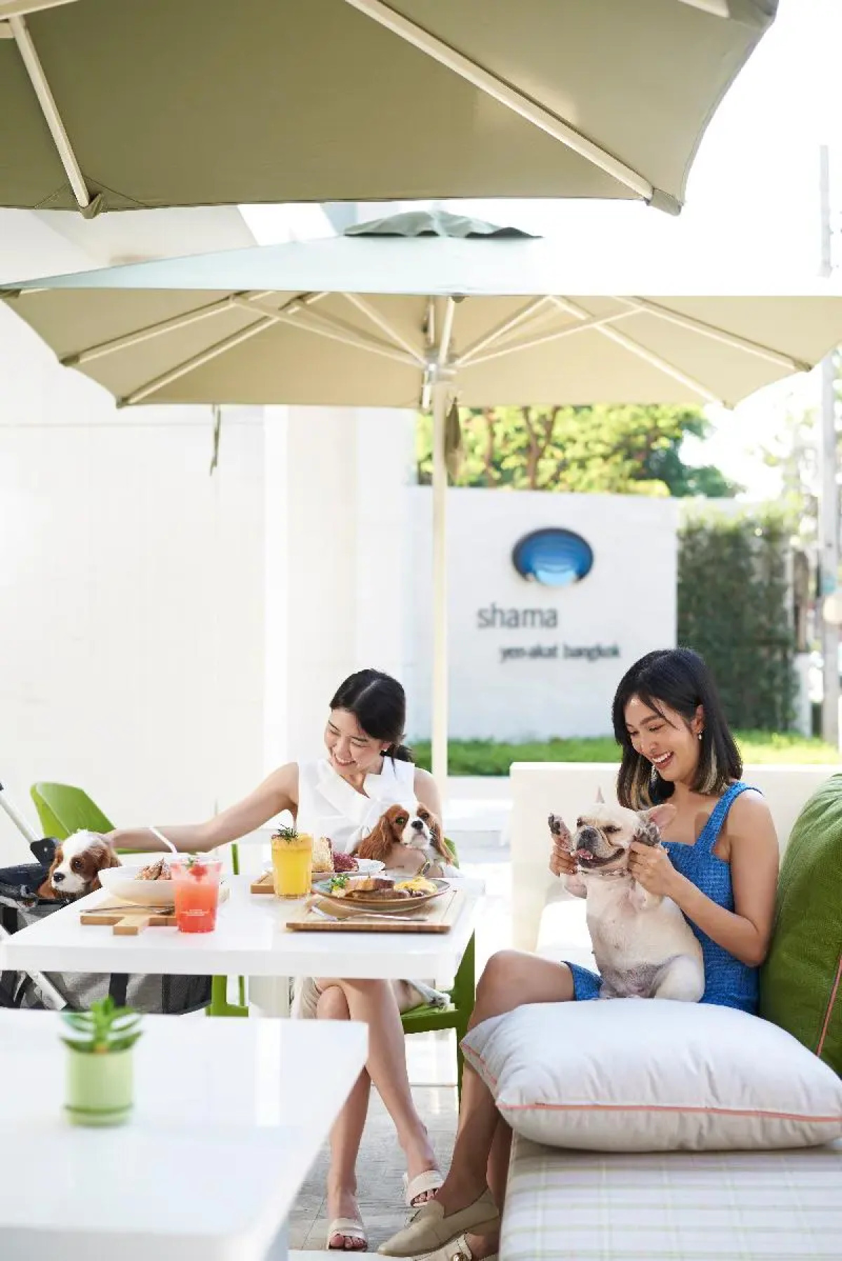 Shama Yen-Akat Bangkok