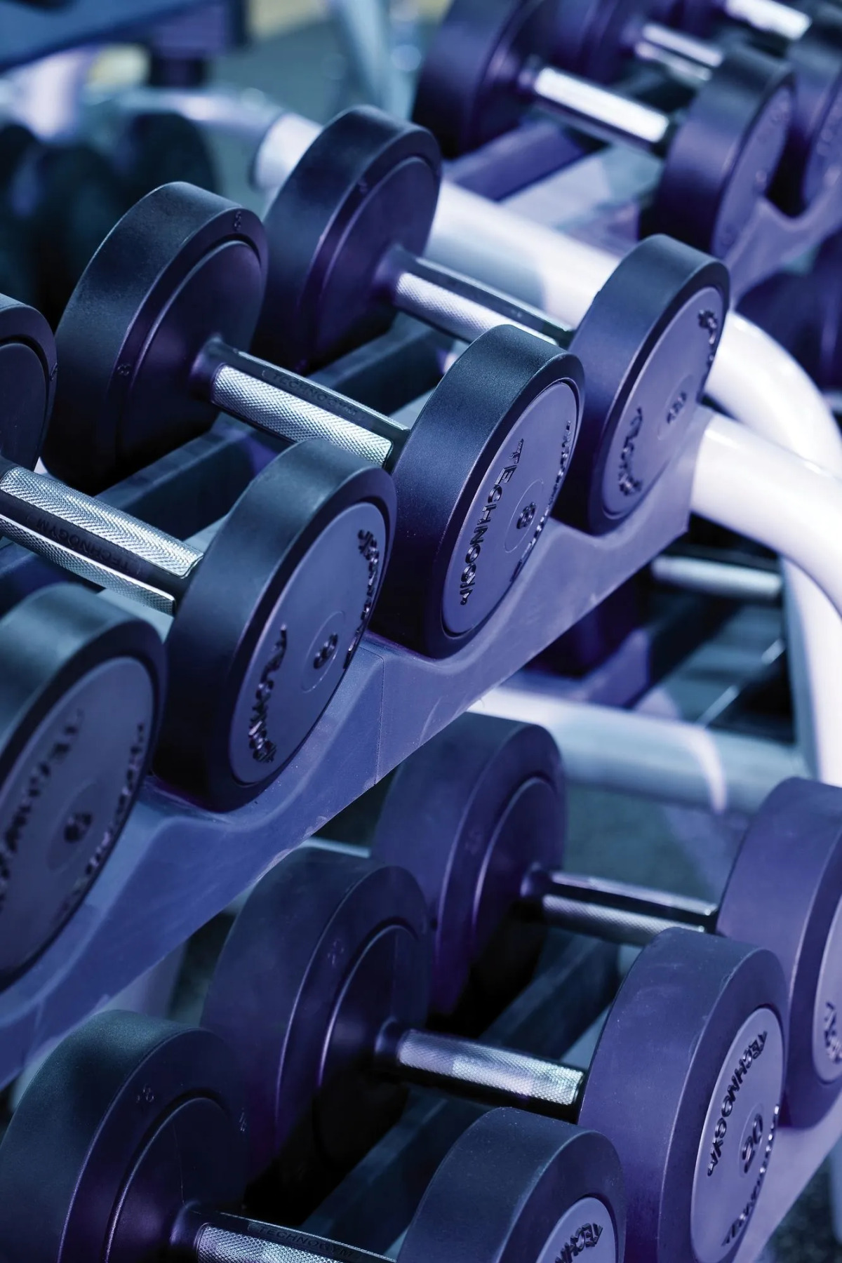 Mövenpick Resort Aswan