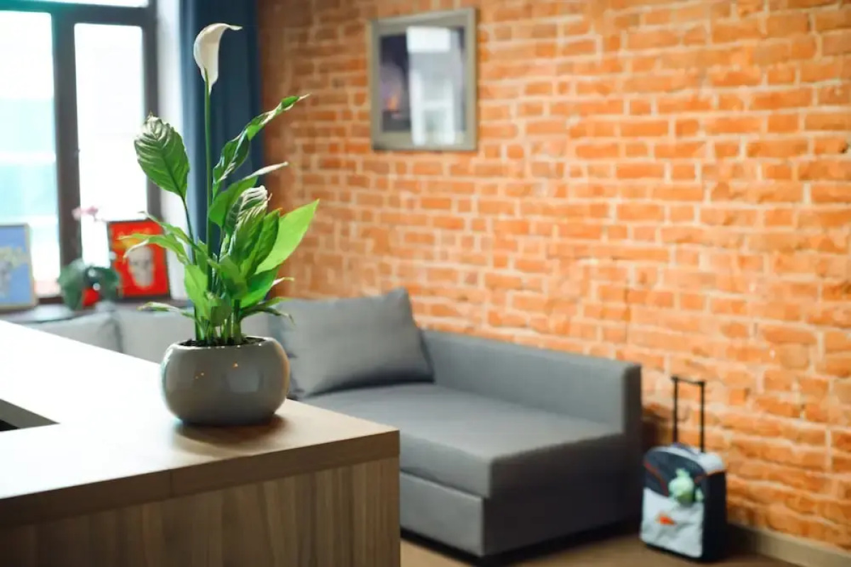 Рус-Ярославль хостел