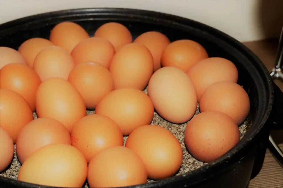 Select Hotel Silence Garden Köln