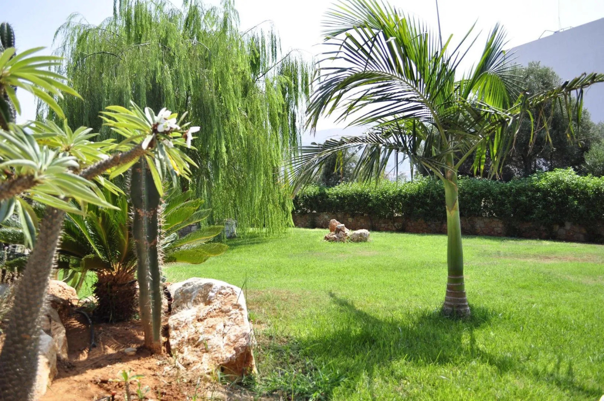 Sunvillage Malia Boutique Hotel & Suites