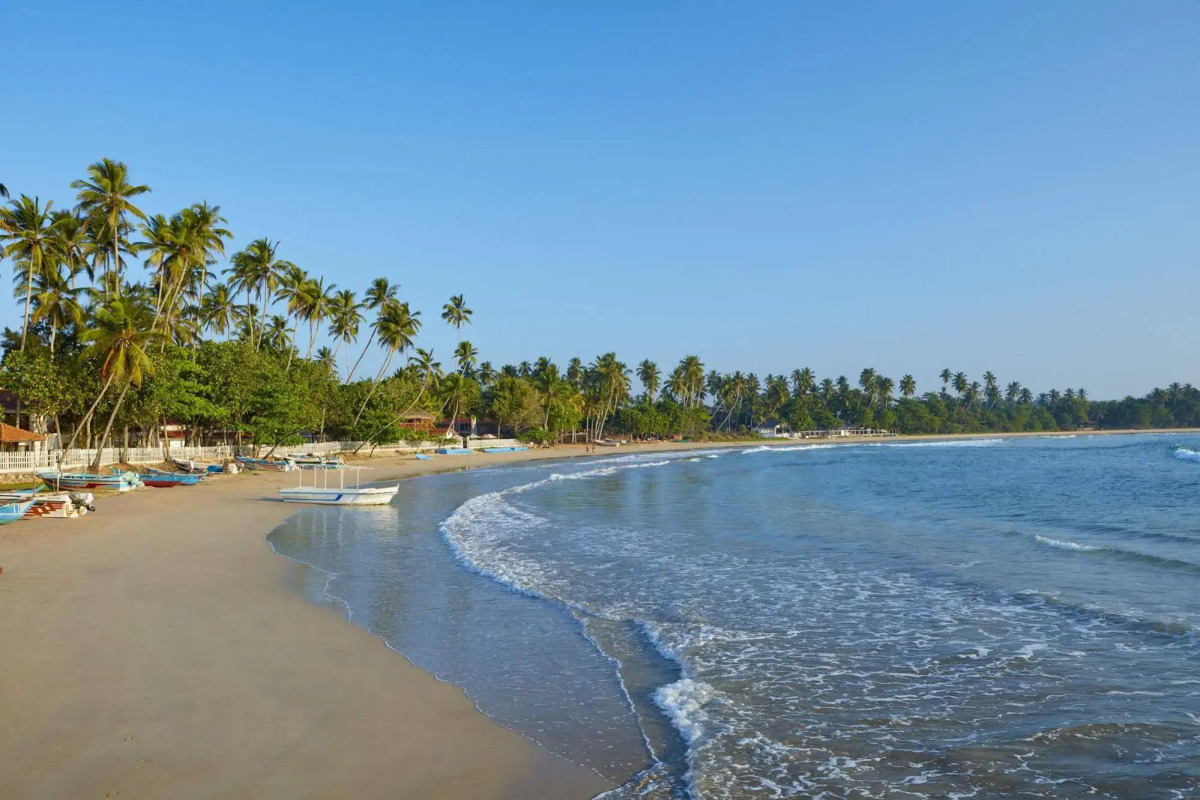 Dickwella Resort and Spa