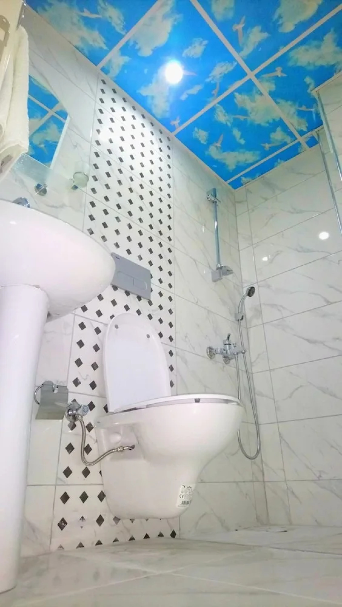 Aslan Luxury Concept