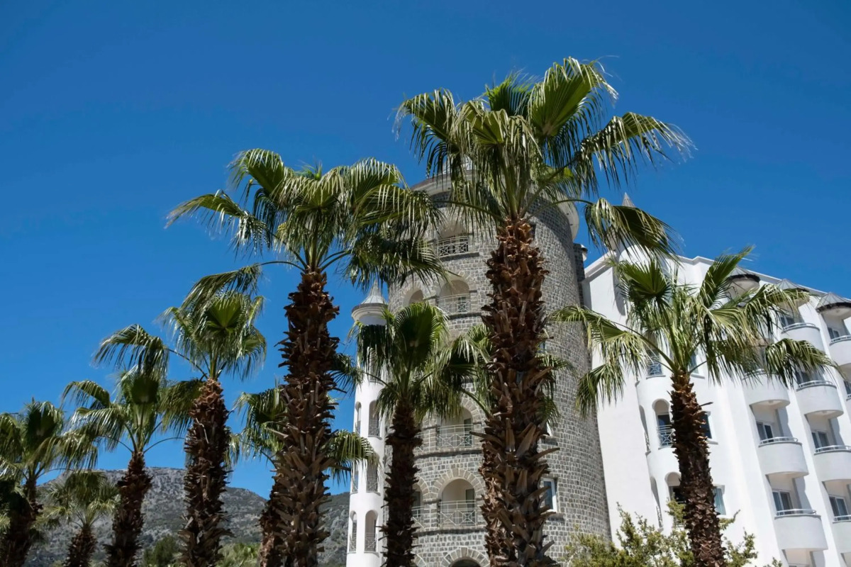 Отель XL Hotels