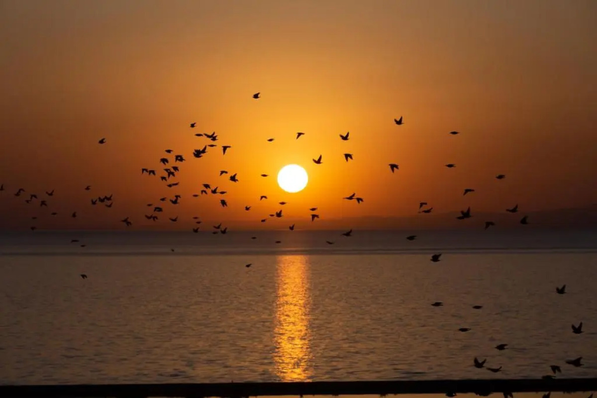 DoubleTree by Hilton Hotel Van