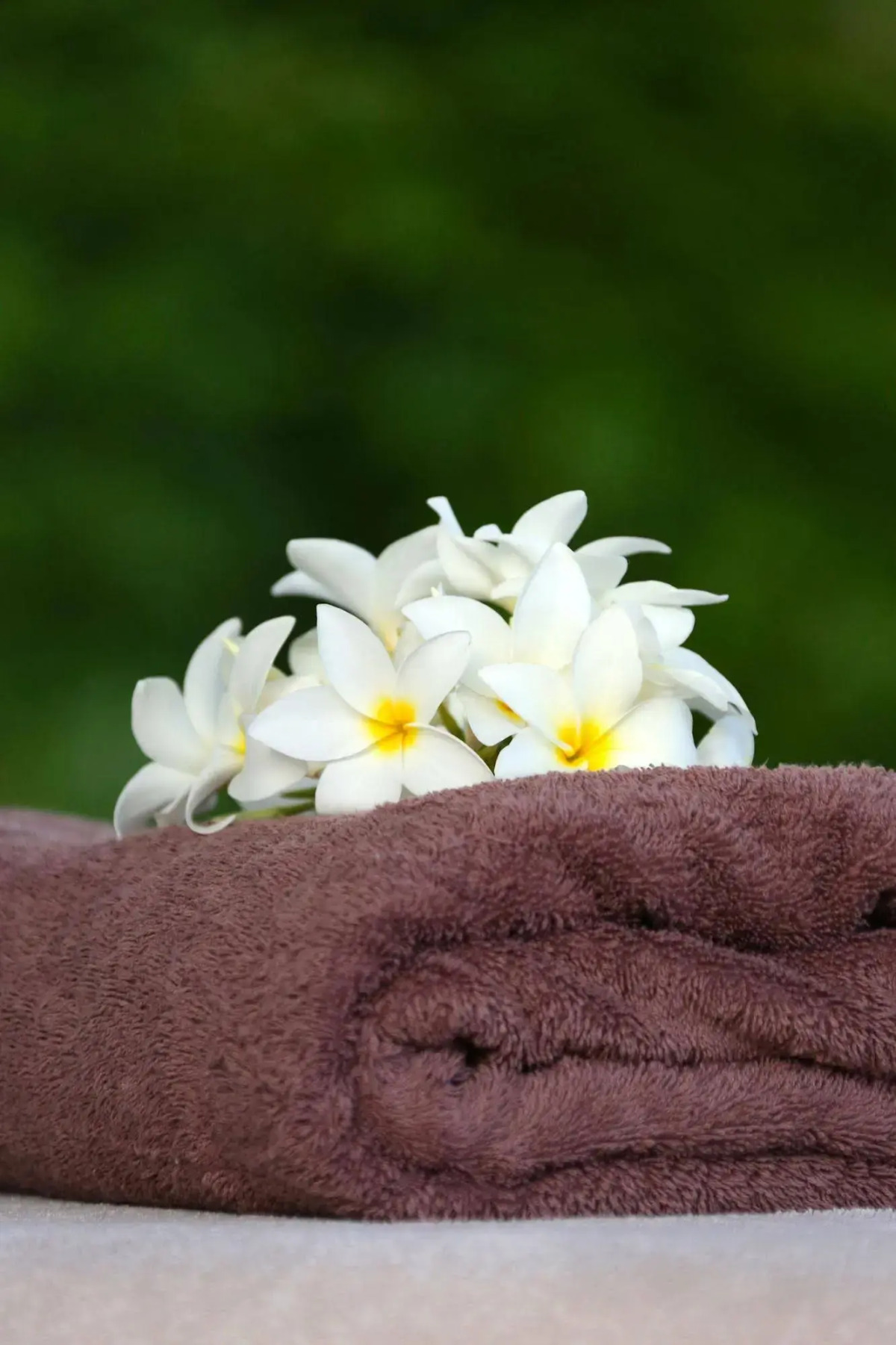 Pierre & Vacances Residence Premium Les Tamarins