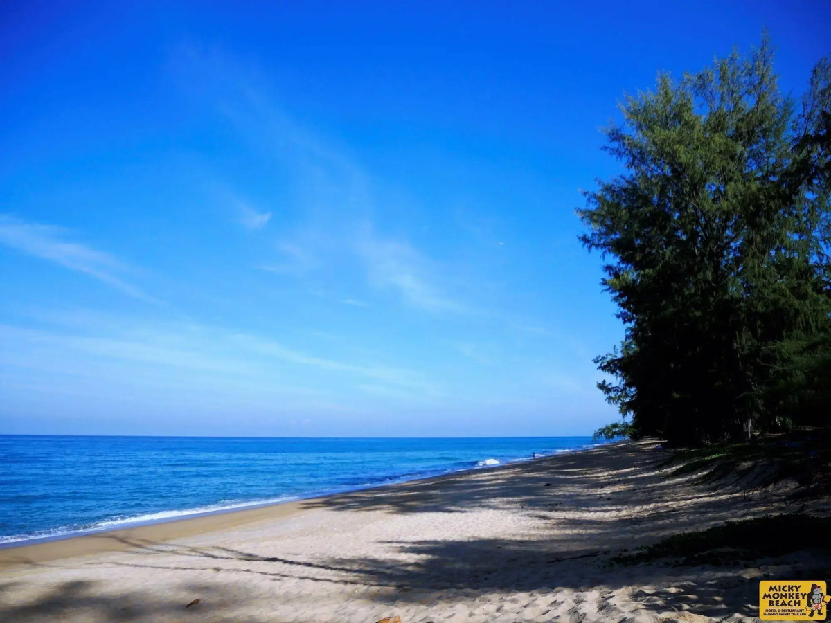Micky Monkey Beach Hotel Phuket Maikhao Thailand