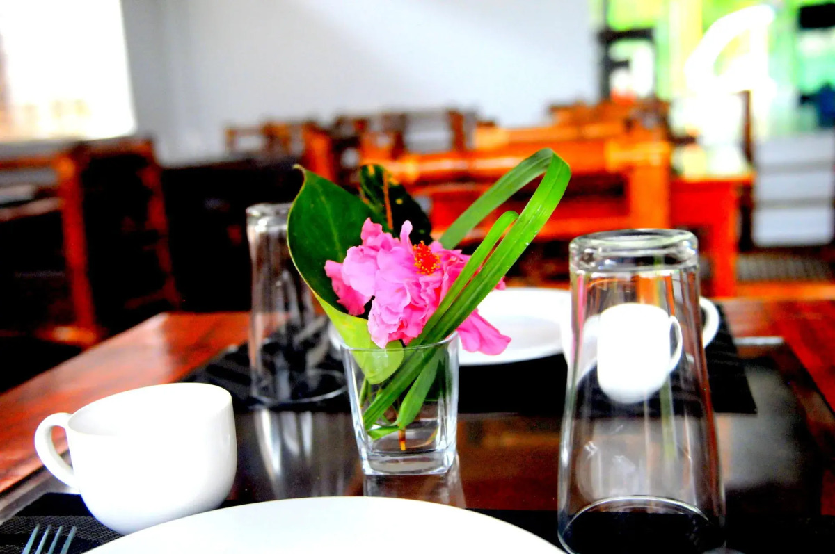 Oasis Resort and Spas