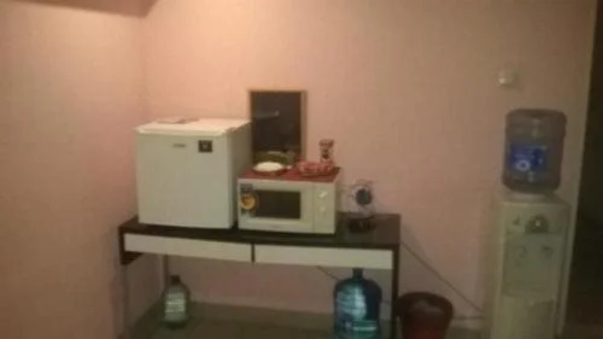 Меблированные комнаты Снегири