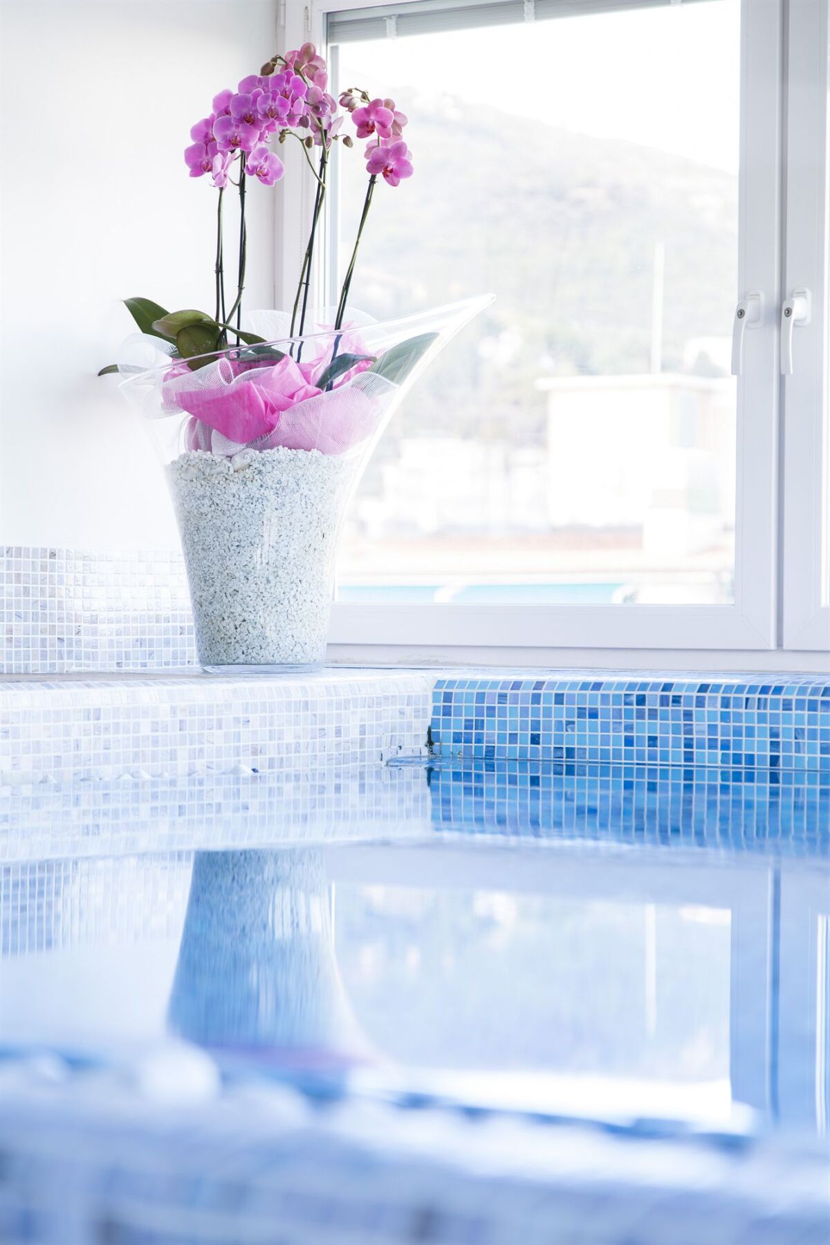 Allegroitalia Alassio Rosa