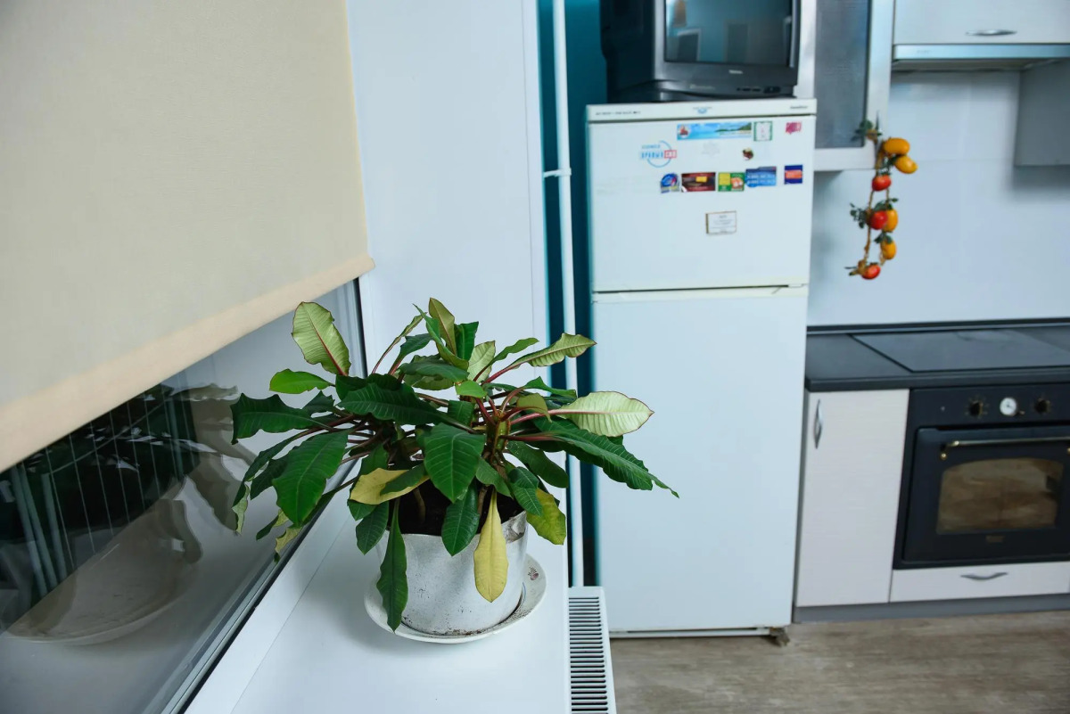 Апартаменты Турист на улице Оплеснина 41/1