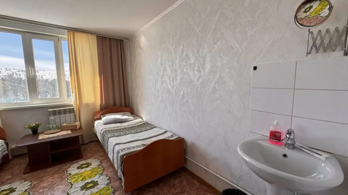 Кедр Золотой