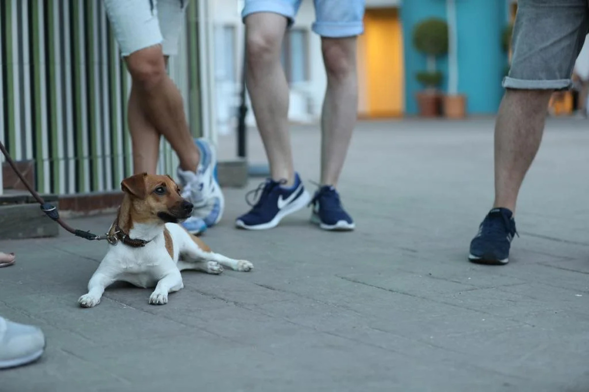 Hotel Ritual Torremolinos Adults Only (ex. P&V Stella Polaris)