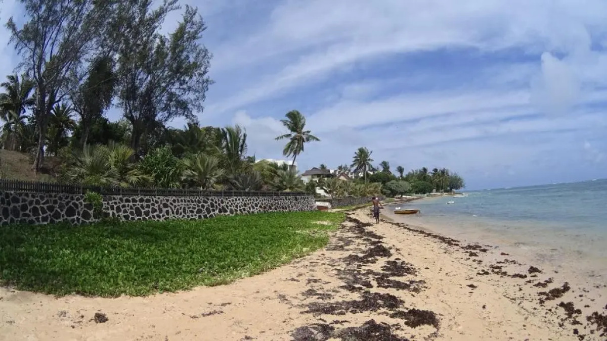 Allamanda Studios and Apartments