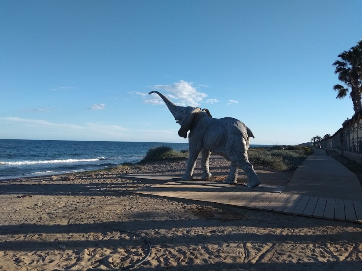 Acv - Costa Marina II-1ª Linea Planta 10 Sur