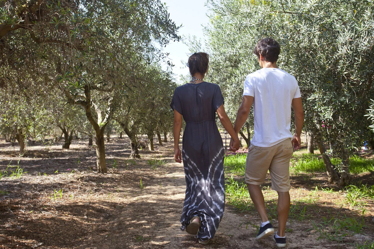 Sa Vinya des Convent Agroturismo