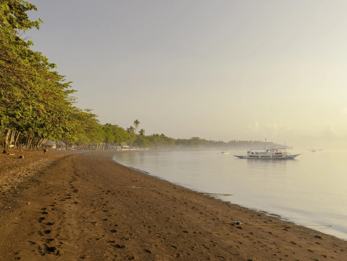 Mike's Dauin Beach Resort