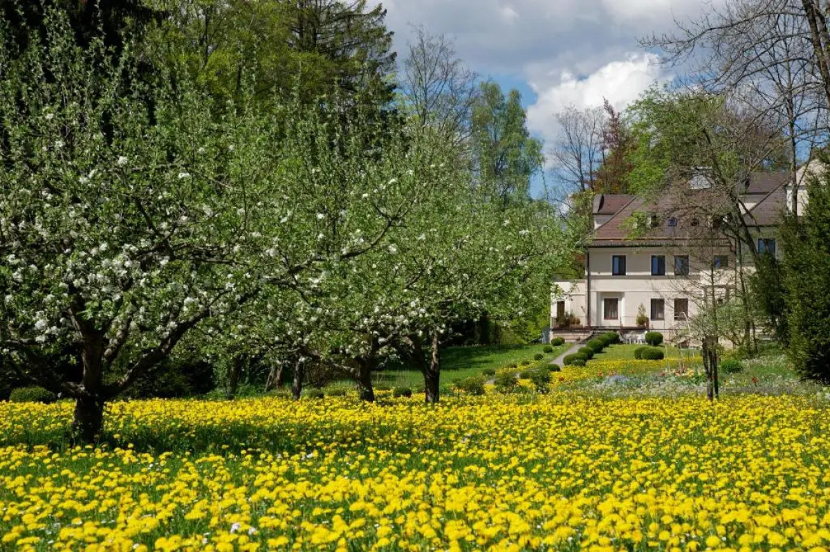 hideauts hotels Der Rosengarten.
