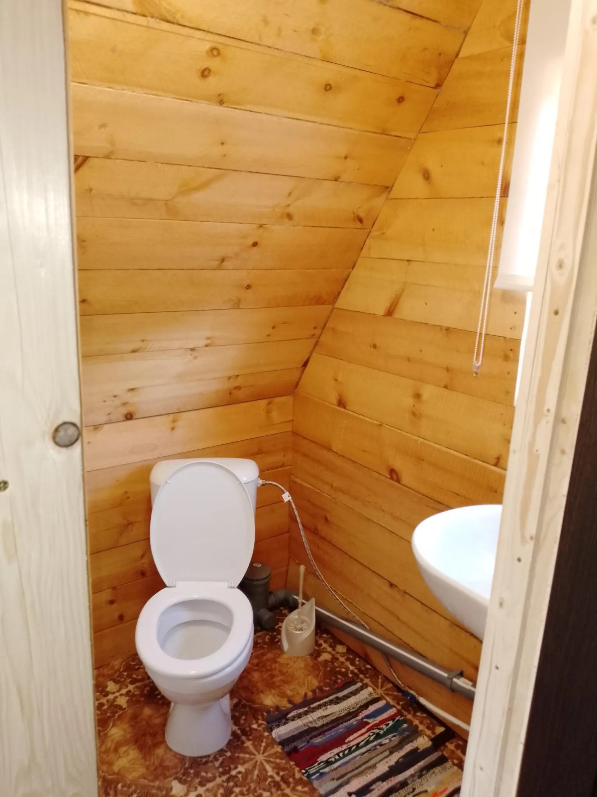 Золотая рыбка