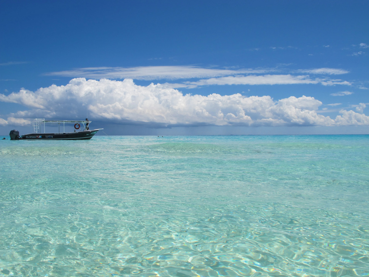 The Reef Playacar Beach Resort & Spa