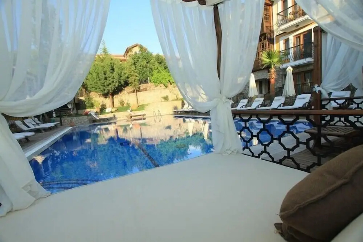 The Olive Tree Studios - Adults Only