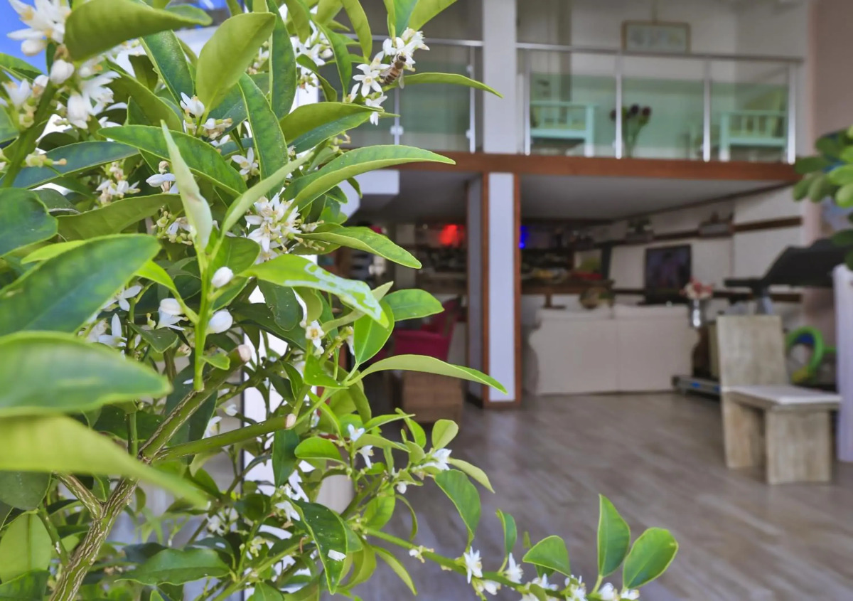 Отель Sonne - Adults Only