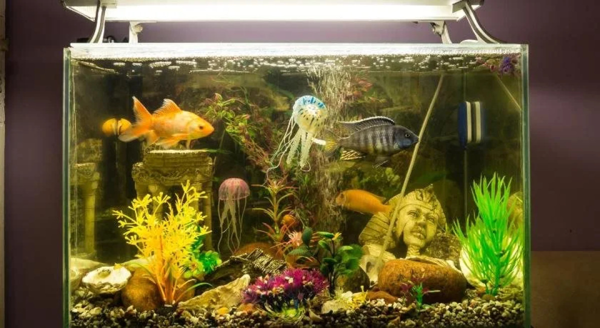 Akteon Lindros Hostel