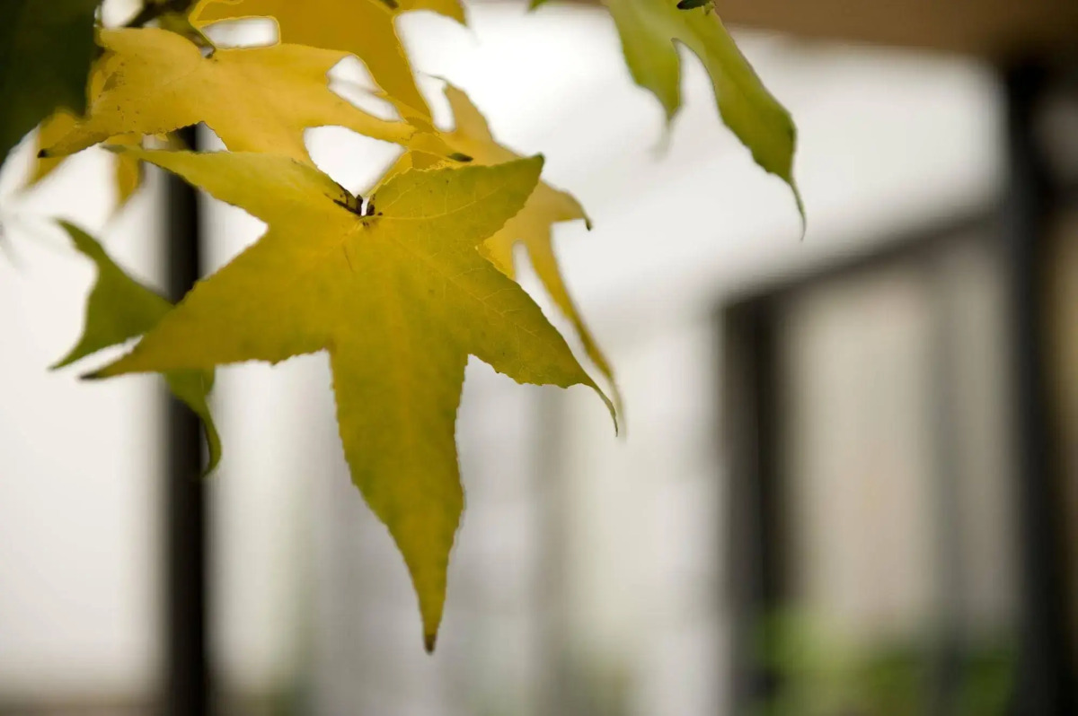 Three Crowns Hotel Prague