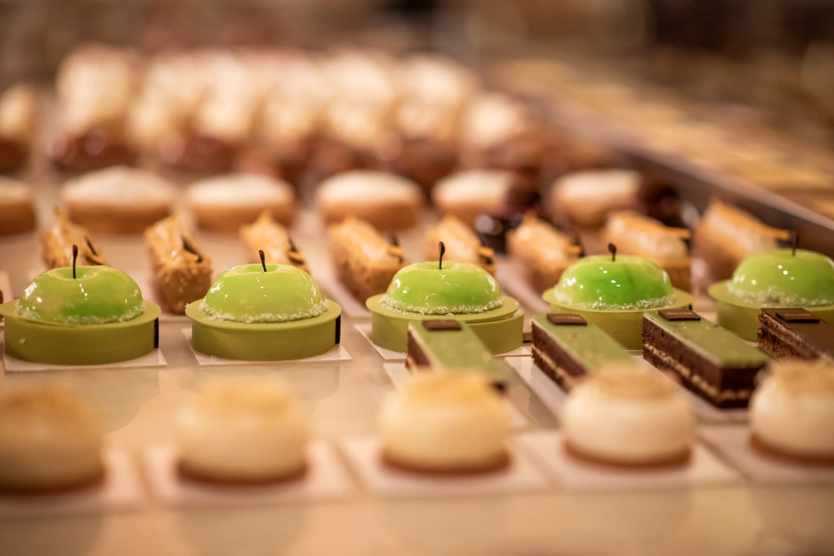 Brach Paris - Evok Collection