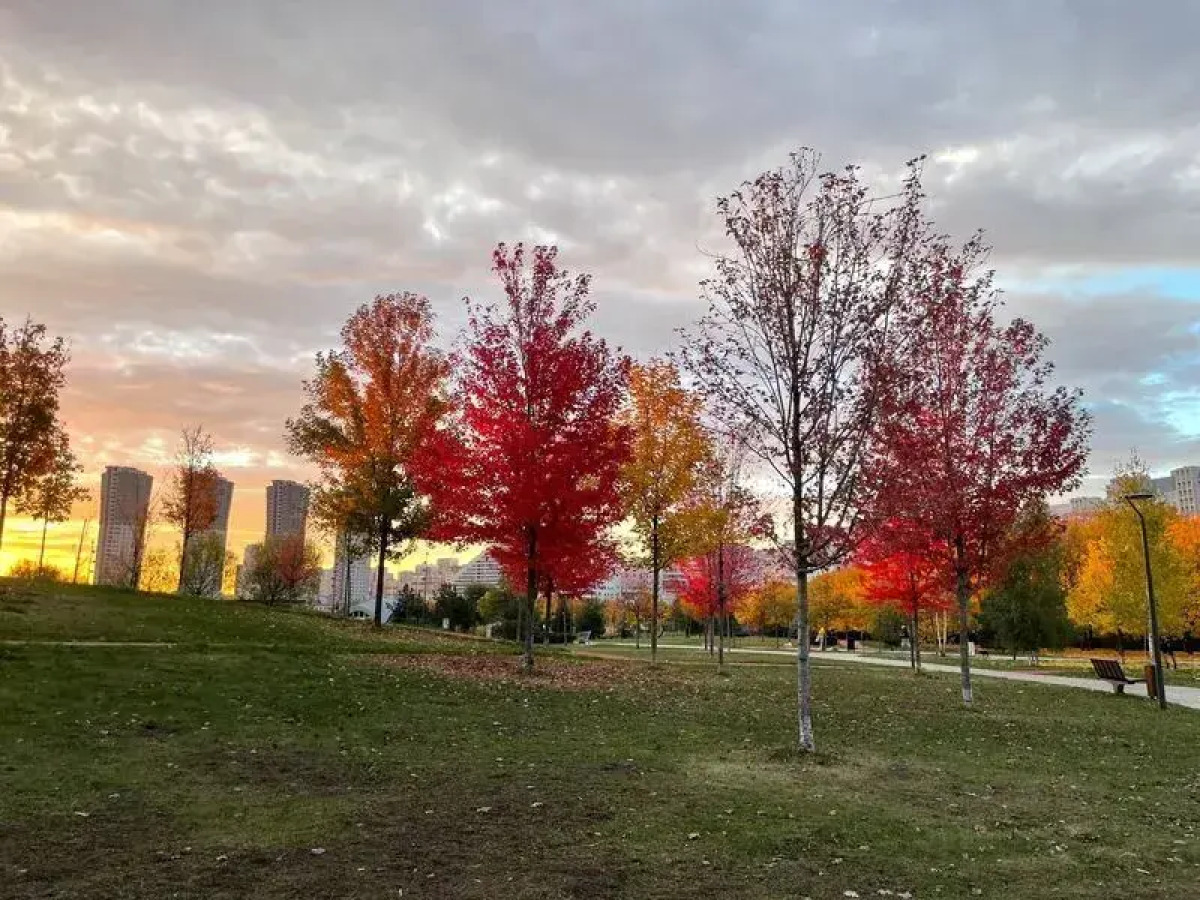 Art Aparts on Khodynsky Boulevard, 2