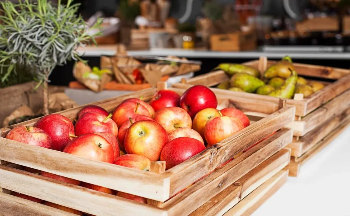 Отель Best Western Plus Park Globetrotter Copenhagen Airport