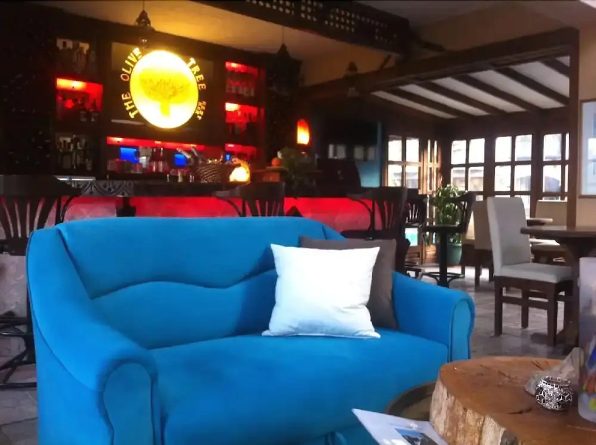 The Olive Tree Studios - Adults Only