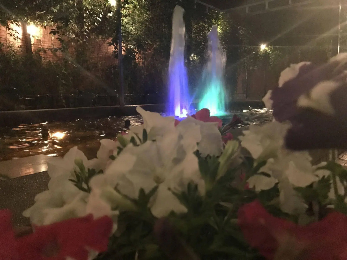 Ноев Ковчег