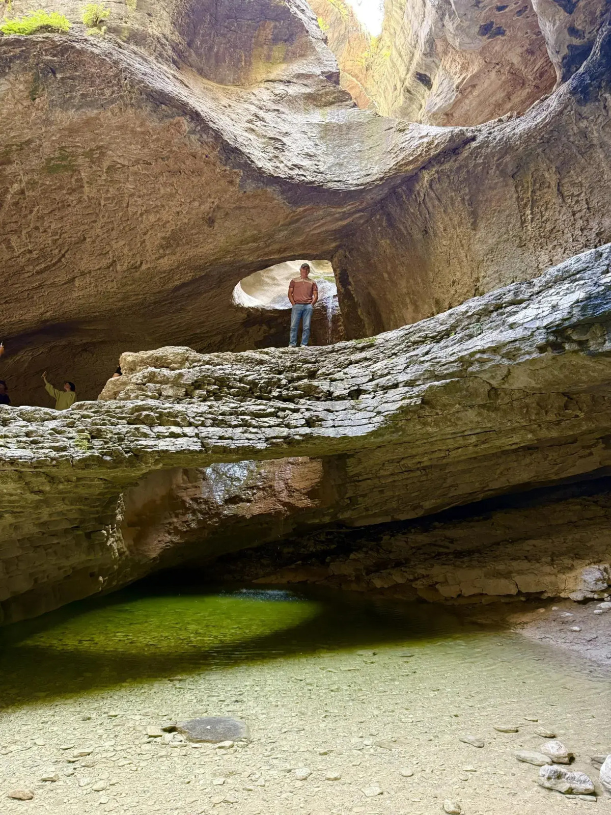 Родное гнездо