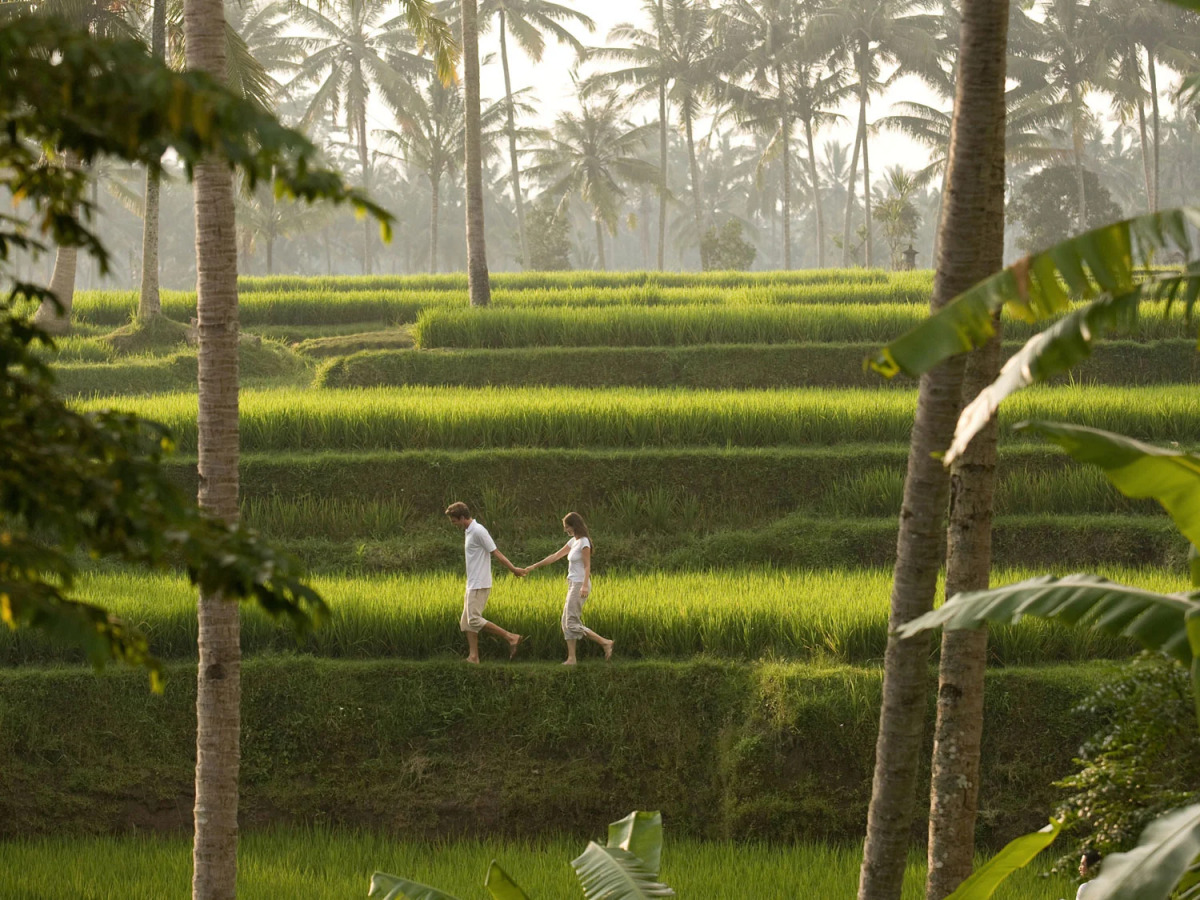 Курорт Kamandalu Ubud