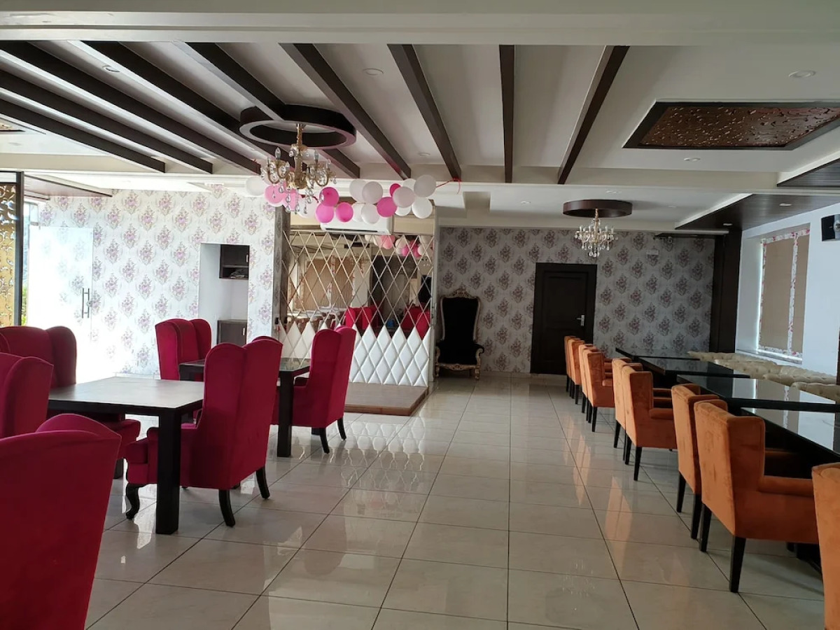 Little Mastiff - Dharamshala